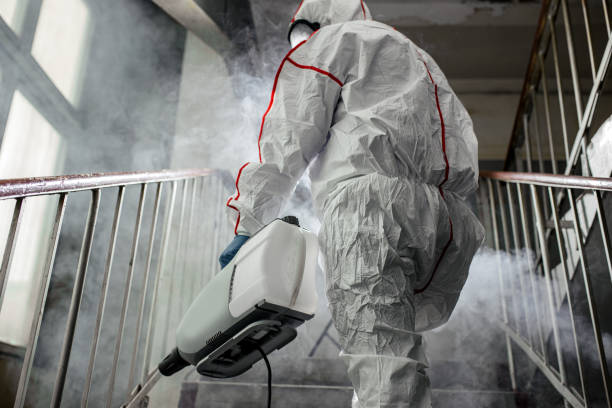 Colfax, CA Mold Removal Company